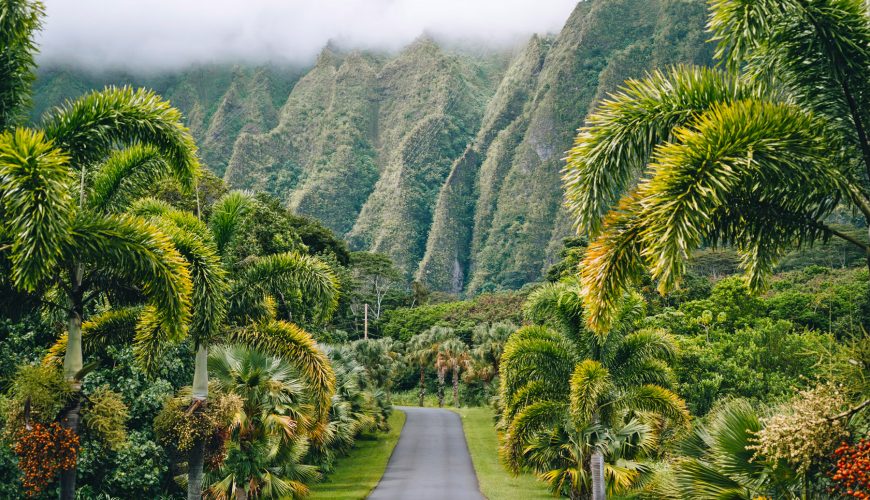 Oahu Top 20 Best Things to Do: Unveiling Hawaii’s Most Vibrant Island