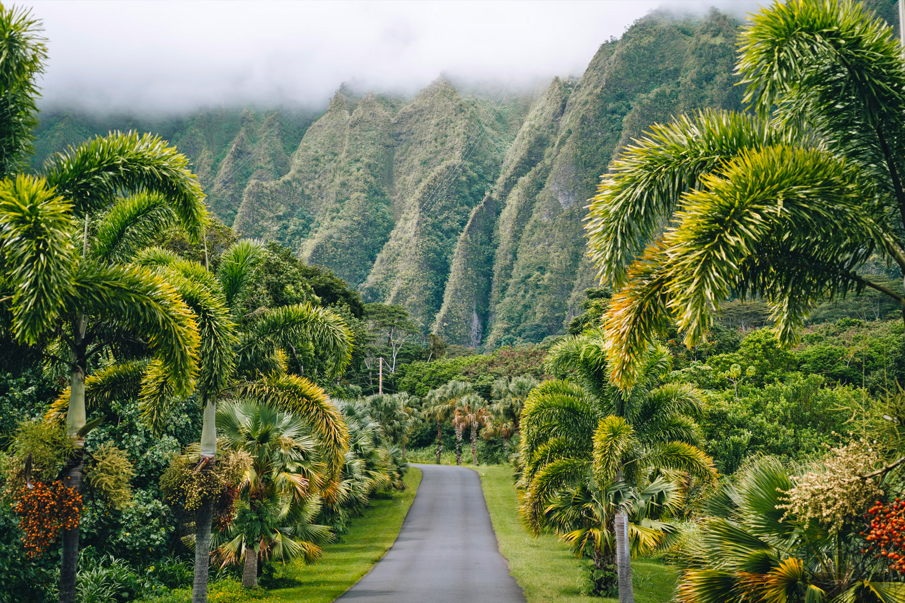 Oahu Top 20 Best Things to Do: Unveiling Hawaii’s Most Vibrant Island